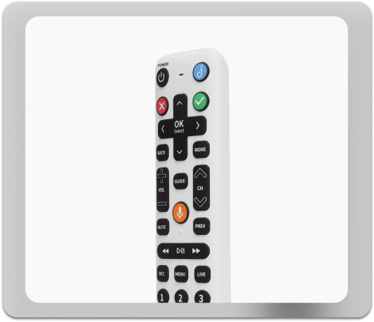 simple remote for seniors